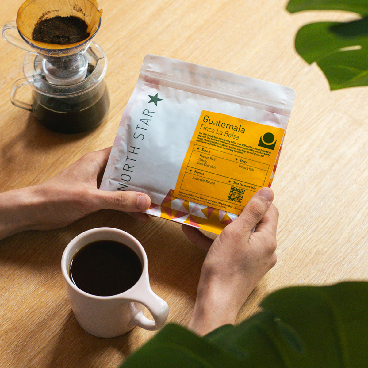 Guatemala Finca La Bolsa Anaerobic Natural North Star Coffee Roasters