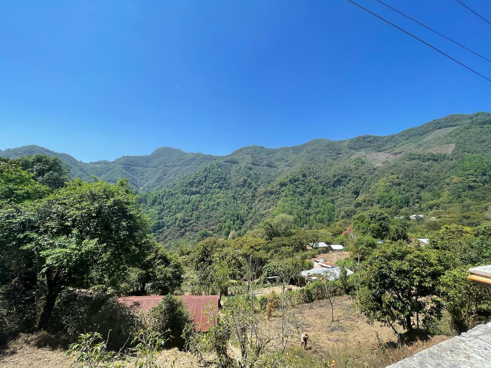 Why We’re Choosing Coffee from Southern Mexico