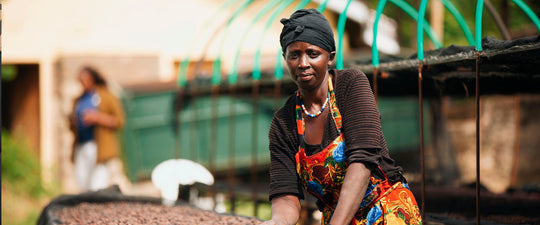 Single Coffee Origins from Around the World