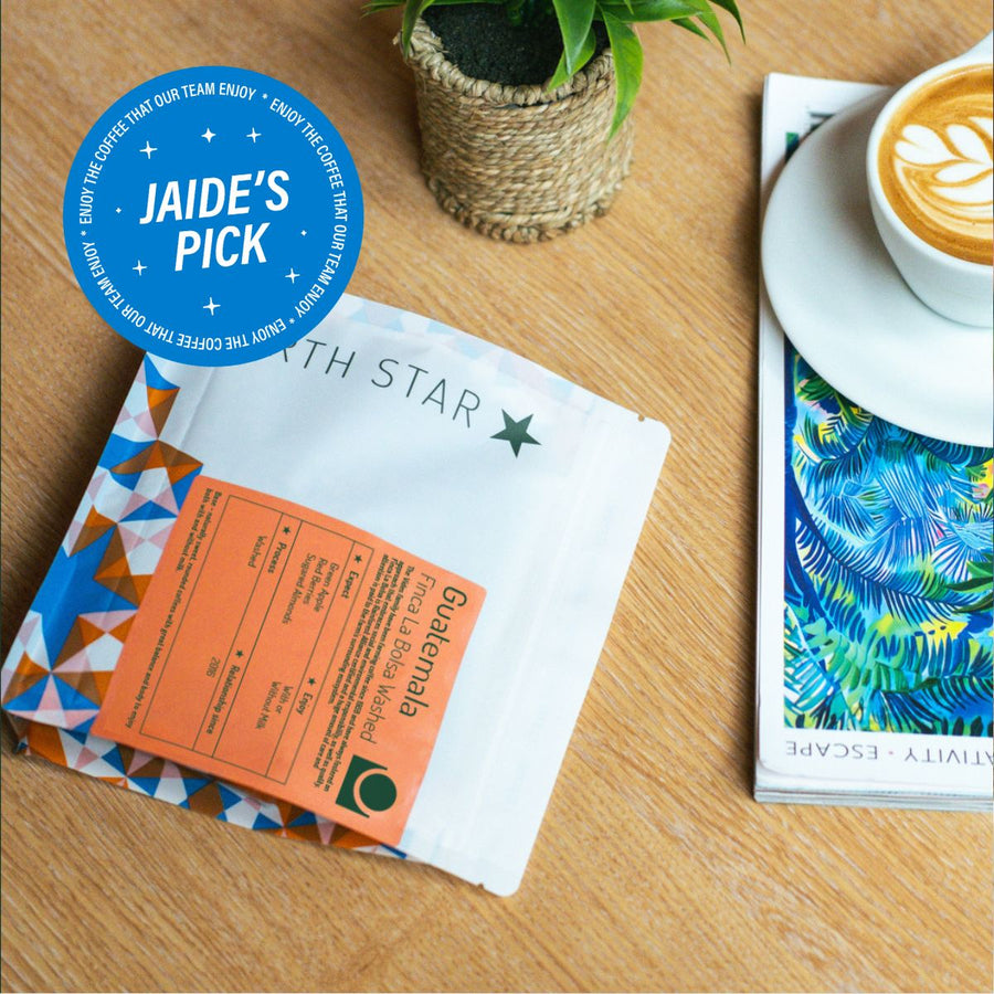 Guatemala Finca La Bolsa Washed