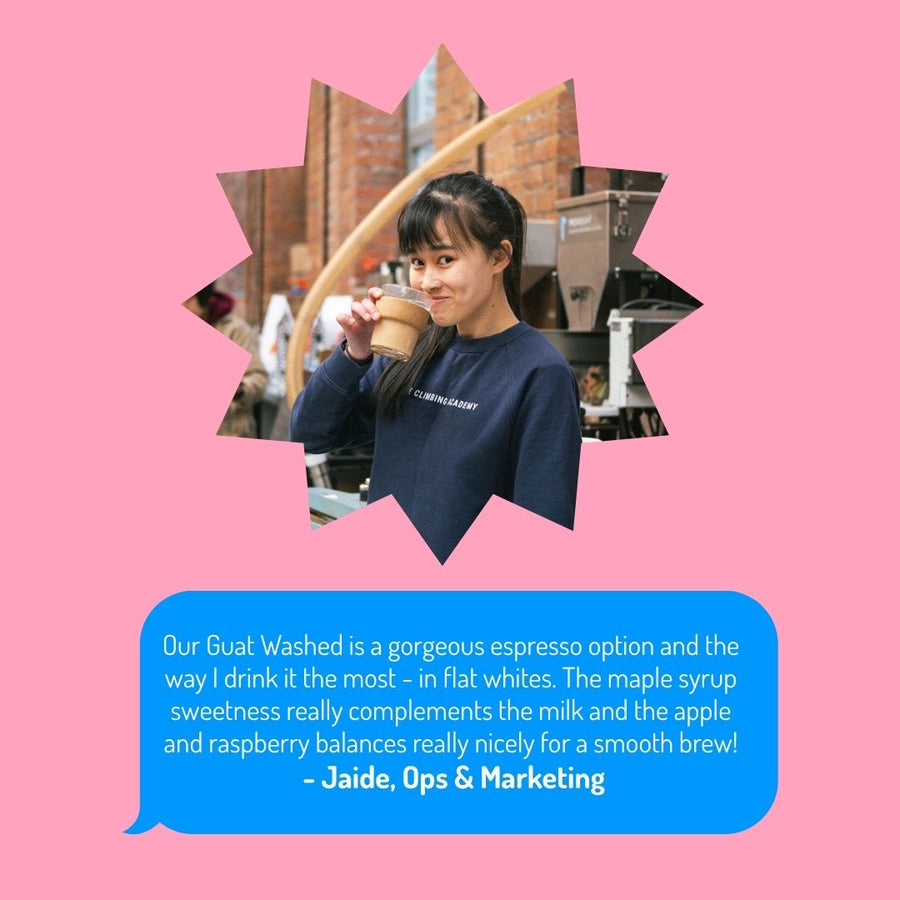 Guatemala Finca La Bolsa Washed