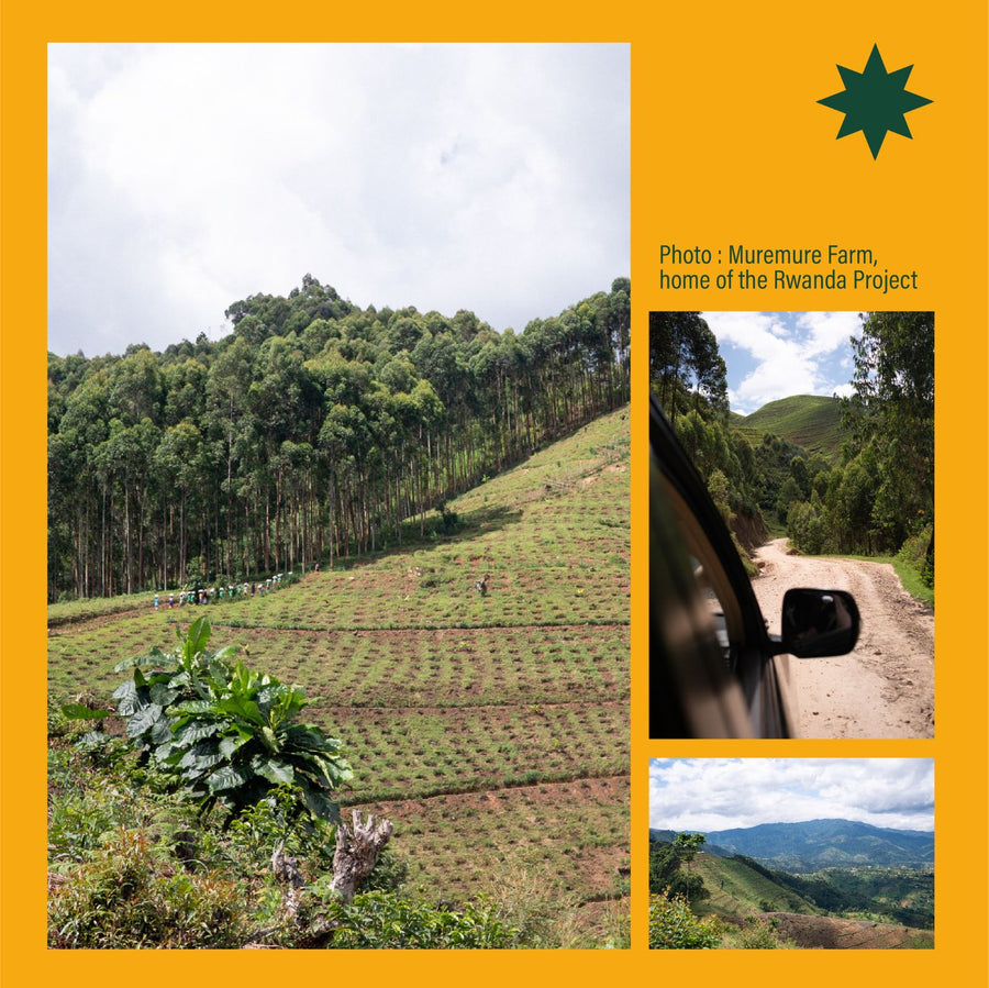 Rwanda Ijabo 'Youth Project' Anaerobic Natural