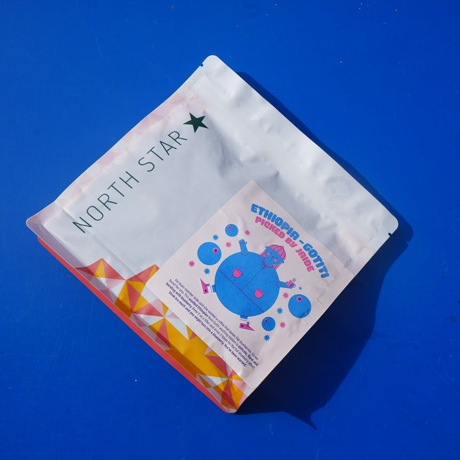 Explore Range Subscription - Ethiopia Gotiti Washed